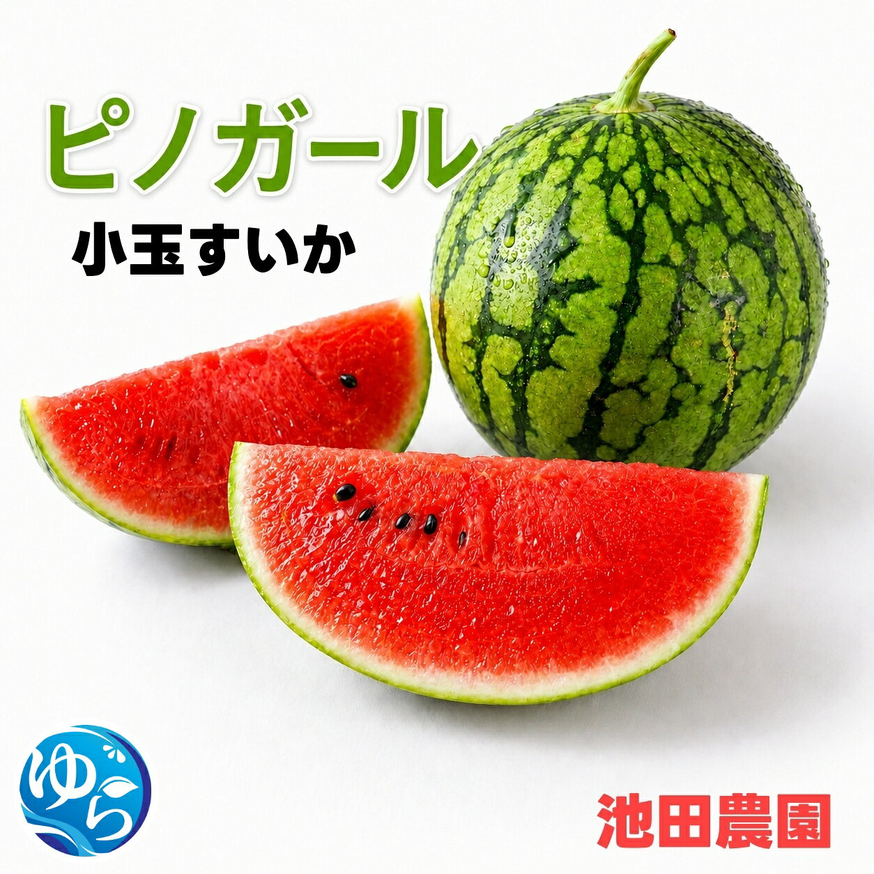 【ふるさと納税】 種ごと食べられる！小玉 スイカ 「ピノガール」 2玉 約3kg 4玉 約6kg [秀品] / 高級 甘い 和歌山 フルーツ 西瓜 果物 ※6月上旬〜7月中旬頃に順次発送予定 ※北海道・沖縄・離島への配送不可