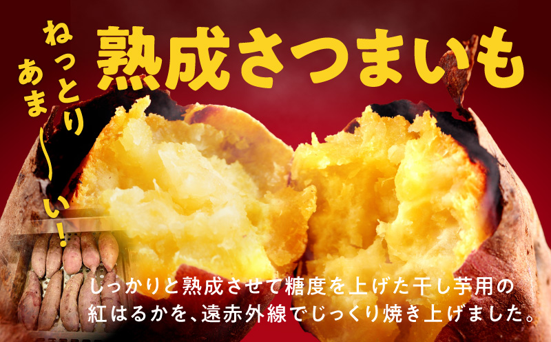 【定期便】干し芋屋の焼き芋 紅はるか約1kg 個包装4〜6本入り 全4回【焼き芋 いも イモ サツマイモ さつまいも 紅はるか 冷凍 おやつ】