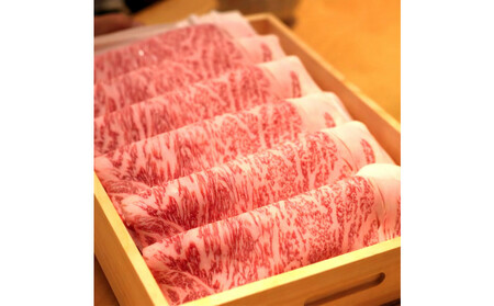飛騨牛 サーロイン / リブロース 500g しゃぶしゃぶ