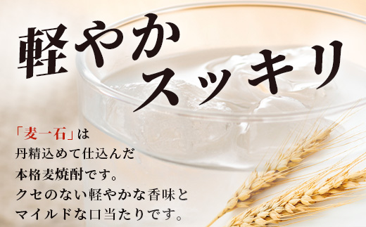 【年内お届け】本格麦焼酎「麦一石」 紙パック 1800ml × 6本 25度 純 麦焼酎 ※12月18日～28日発送※  年内発送 年内配送 クリスマス