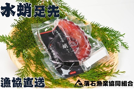 [12月14日決済分まで年内配送]【北海道根室産】ボイル水たこ足先12P(計4.5kg) D-20004