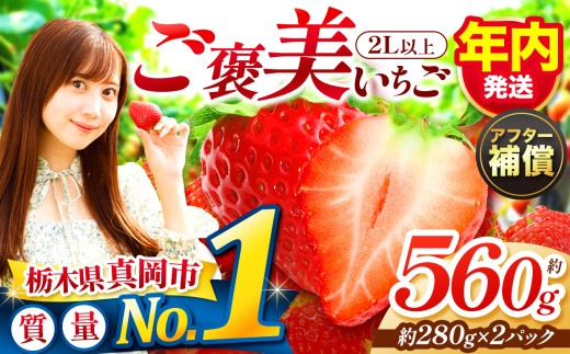 【先行予約】【年内発送】一粒の贅沢！ ご褒美とちあいか 2L以上 約560g 280g×2パック いちご | 年内発送 取り寄せ 果物 フルーツ 苺 イチゴ 26/27年分  先行受付 栃木県 真岡市 送料無料
