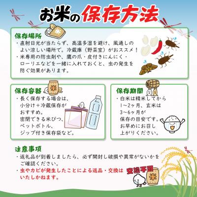 ふるさと納税 境町 【令和7年産】境町こだわり玄米「コシヒカリ」 10kg(5kg×2袋) |  | 02
