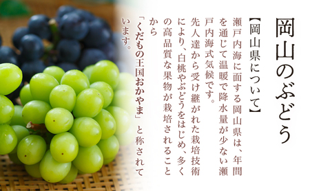 桃 ぶどう 2024年 先行予約 果物 詰合せ 白桃 2玉（1玉220g以上）ニューピオーネ 2房（1房480g以上）化粧箱入り もも 葡萄 岡山県産 国産 フルーツ 果物 ギフト