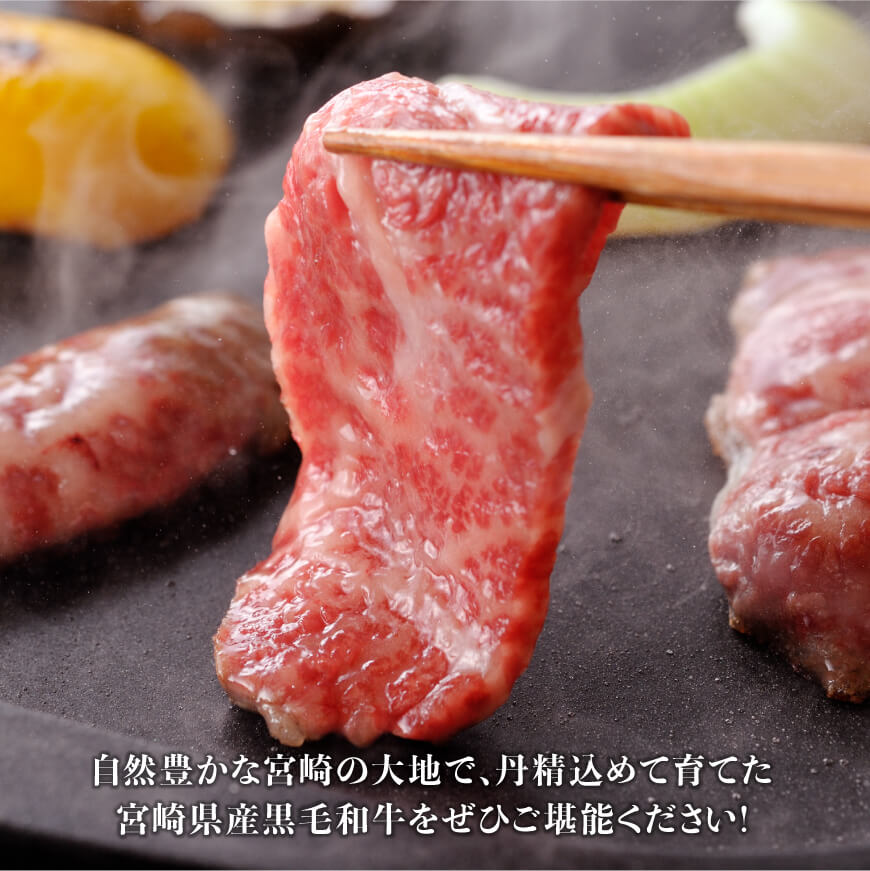 【令和7年4月発送】黒毛和牛5種盛り焼肉セット（数量限定）300g　肉牛肉国産牛肉宮崎県産牛肉牛黒毛和牛牛ミヤチク牛肉BBQ牛肉バーベキュー送料無料牛肉牛肉 [D0637r704] 【令和7年4月発送