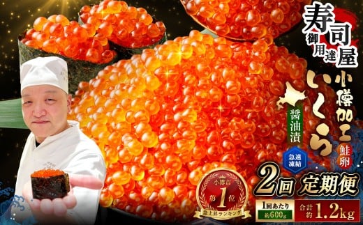 【2回定期便】 いくら醤油漬 約600g（約200g×3パック）×2回 計約1.2kg いくら醤油漬け いくら イクラ 醤油漬 醤油漬け 冷凍