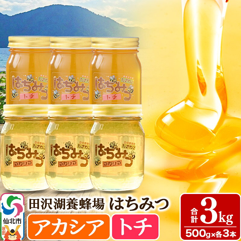 【ふるさと納税】秋田県産はちみつ（アカシア・トチ）500g×各3本 合計3kg 化粧箱入り 詰め合わせセット 田沢湖養蜂場 [蜂蜜 はちみつ ハチミツ 国産 アカシア アカシヤ]