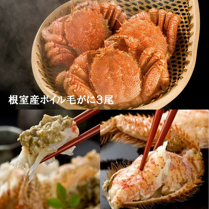 【ふるさと納税】 [北海道根室産] ボイル 毛がに 300g × 3 尾 毛蟹 けがに ケガニ かに カニ 蟹 お取り寄せ グルメ 海鮮 茹で蟹 茹でがに 茹でガニ 北海道 根室市 ふるさと納税 C-01062
