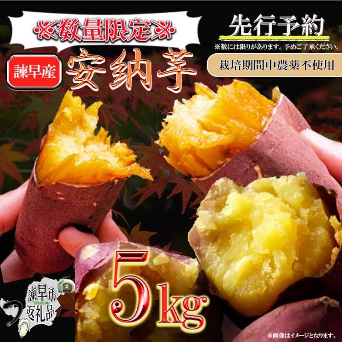 【訳あり】栽培期間中農薬不使用 安納芋 5kg / いも イモ 芋 さつまいも さつま芋 サツマイモ 安納芋 スイーツ 訳あり 訳アリ 野菜 / 諫早市 / ふるさと有明ファーム [AHAQ002]