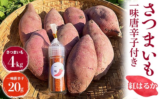 さつまいも4kg　一味唐辛子付き（20g）｜ サツマイモ 紅はるか かんしょ 美浜町産 知多半島産 愛知県産 国産 期間限定 香辛料 調味料 味付け　※北海道・沖縄・離島への配送不可