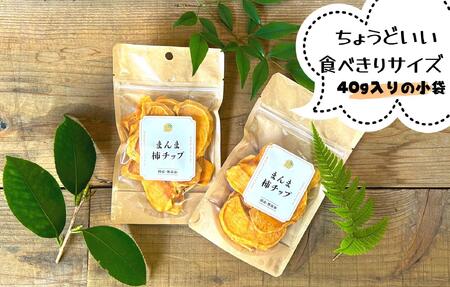 ドライフルーツ 柿チップ 500g ( 50g × 10袋 ) 和歌山県産 果物使用 自社製造 【みかんの会】