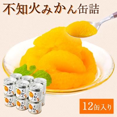 ふるさと納税 八女市 不知火 缶詰 12缶セット 国産