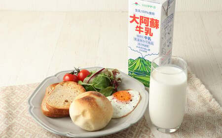＜ R8年熊本地震復興支援 ＞ 【12ヶ月定期便】大阿蘇牛乳 1L×12本(×12回) 合計144L らくのうマザーズ  常温保存 成分無調整牛乳 生乳100%使用 乳飲料 乳性飲料 ロングライフ 長