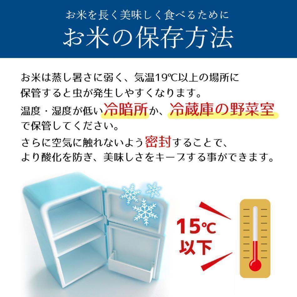 【定期便3回】栃木県産 にじのきらめき 玄米 5kg 2026年 先行予約 | 栃木県 矢板市