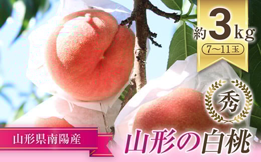 【令和8年産先行予約】 もも「川中島･あかつき･まどか 等」 約3kg (7～11玉) 《令和8年7月下旬～発送》 『生産者 佐藤 勇二』 桃 モモ 果物 フルーツ 産地直送 生産農家直送 山形県 南陽市 [591-R8]