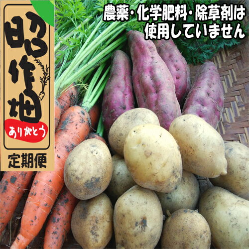 【ふるさと納税】【定期便 】昭作畑 定期便　　新にんにく 　じゃがいも 　さつまいも・土付きにんじん　無農薬　旬の野菜