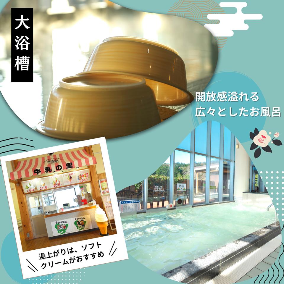 日帰り天然温泉「本宮の湯」入浴券11枚