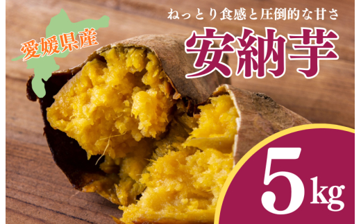『えがお畑』で採れた安納芋 5kg