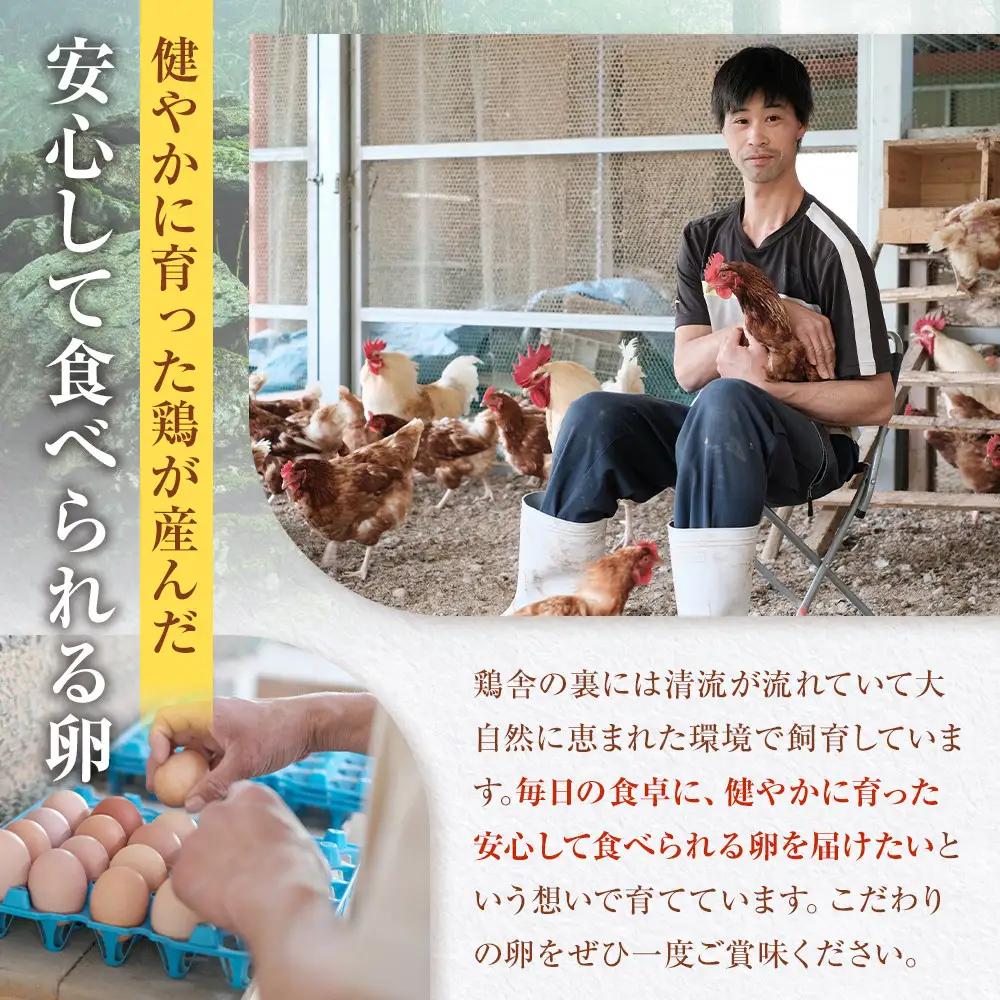 【定期便6か月】国産飼料にこだわった鶏が産む安全安心の 『レモン色たまご』60個（55個＋割れ保証5個） ［Hn11］