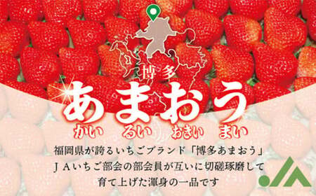 博多あまおう2パック（春） 250g～270g×2パック 合計約500g～540g あまおう いちご 苺 イチゴ フルーツ 果物 くだもの【2025年2月上旬-4月下旬発送予定】