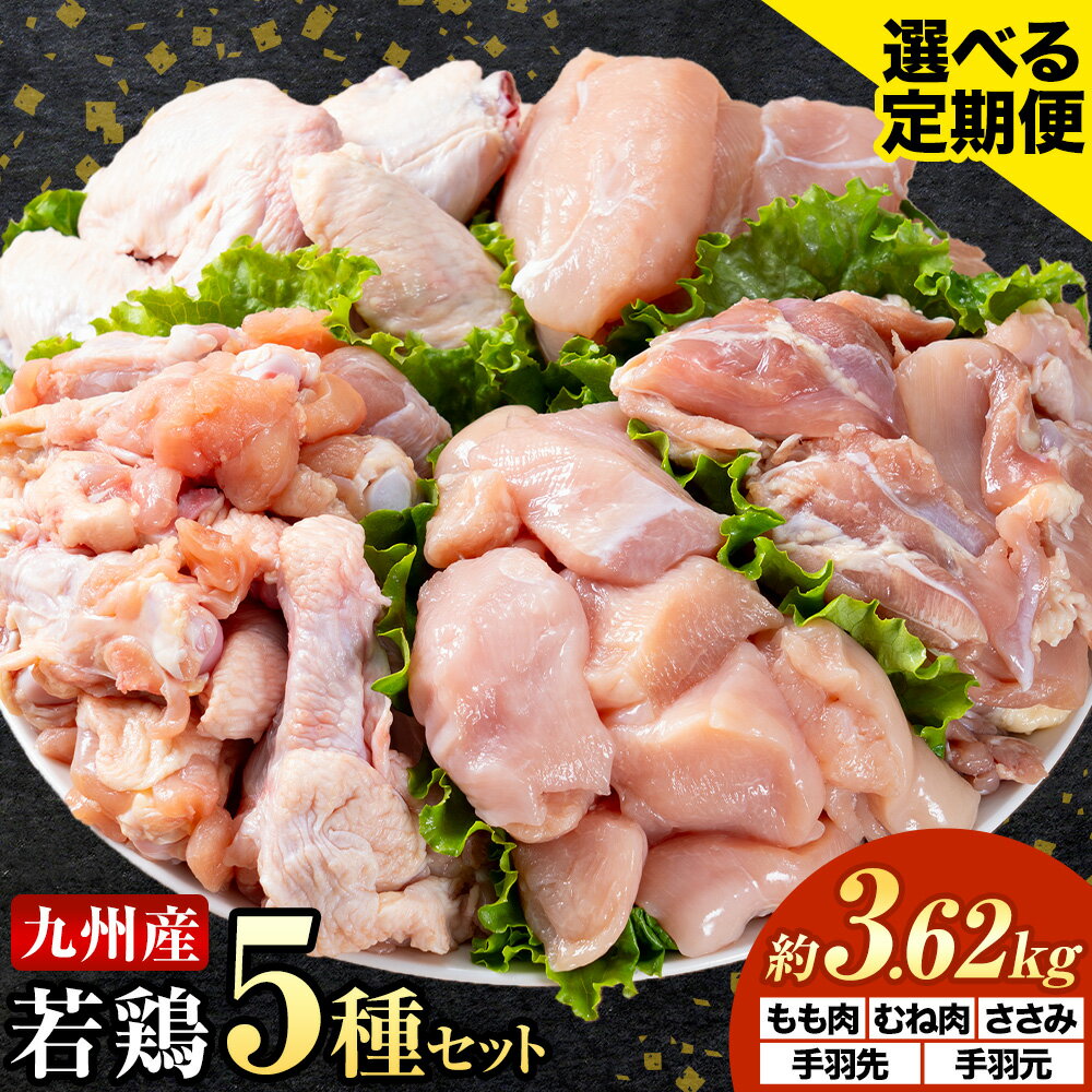 【ふるさと納税】選べる 定期便 九州産若鶏もも肉 むね肉 ささみ 手羽先 手羽元 セット 計3.62kg 鶏肉 お肉 モモ肉 ムネ肉 5種類 詰め合わせ 小分け 冷凍 九州産 国産 熊本県 菊池市 送料無料《お申し込みの翌月から出荷》