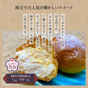 1756R_50年変わらない味！地元で人気のシュークリーム15個