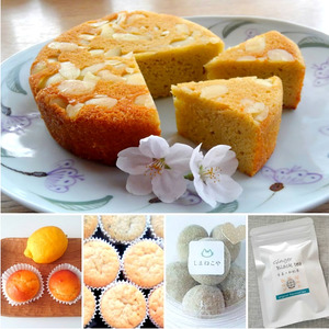 12回 定期便 月替わり 低糖質 おやつセット | しまねこや～低糖質おやつのお店