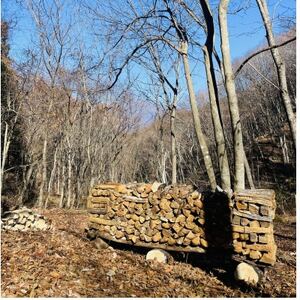 林業芸術社　2年乾燥薪(広葉樹約45cm /約5kg分/中割り～)御代田町面替【1702571】