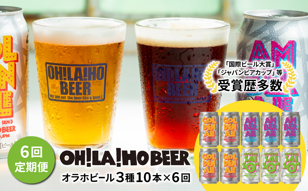 【ふるさと納税】【6回定期便】オラホビール10本（3種合計10本） クラフトビール 地ビール