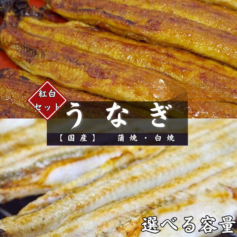 【ふるさと納税】国産うなぎ 蒲焼 白焼 選べる容量 / 田辺市 国産 国産うなぎ 国産鰻 うなぎ 鰻 蒲焼 かば焼き 白焼 しら焼き 土用の丑の日 冷凍 和歌山