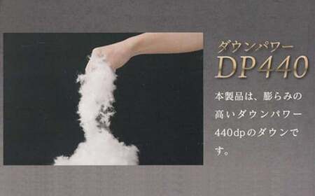 羽毛布団 シングル （G-27） ブルー系 フランス産ホワイトダウン95％ ツインキルト2層式 抗菌 防臭