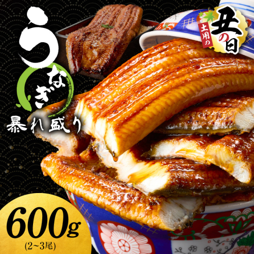 【土用の丑の日までにお届け】うなぎ 蒲焼き 暴れ盛り 合計 600g【鰻 真空パック 簡単調理 訳あり サイズ不揃い 人気 惣菜 うな重 うな丼 ひつまぶし にも】 G3615d