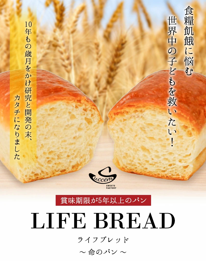 LIFEBREAD 10本 110g サクセム株式会社《30日以内に出荷予定(土日祝除く)》和歌山県 紀の川市 防災備蓄 賞味期限5年以上 ライフブレッド ブレッド---wsk_sks2_30d_24_24000_10---