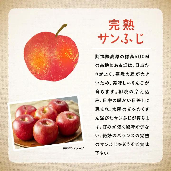 《2026年12月上旬以降順次発送》羽山りんご 完熟サンふじ 3kg【羽山果樹組合】