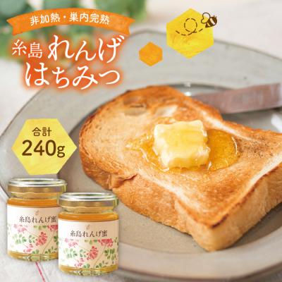 ふるさと納税 糸島市 糸島れんげはちみつ120g×2【ヴァンベールフーズ】蜂蜜[AFJ003]