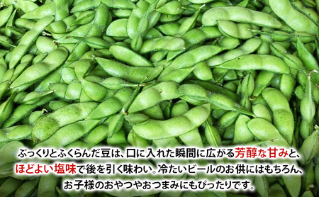 先行予約 秋田県 羽後町産 枝豆 500g （250g×2） [えだまめ 簡単調理レンジ 国産 国産野菜 おつまみ] 
