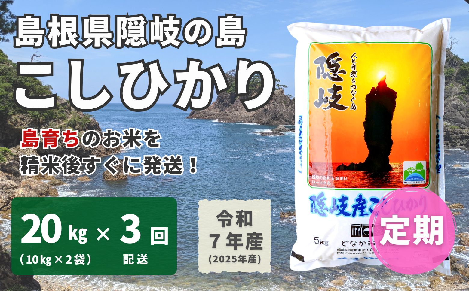 【ふるさと納税】【令和7年産】隠岐産 こしひかり 20kg（10kg×2袋）【毎月・3回配送】