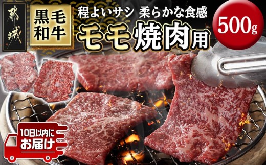 
                  黒毛和牛モモ焼肉用500g≪みやこんじょ特急便≫_14-3302-Q_ (都城市) 10日以内お届け 都城産黒毛和牛 モモ 250g×2P 黒毛和牛 牛肉 焼肉 小分け 真空パック 冷凍
                