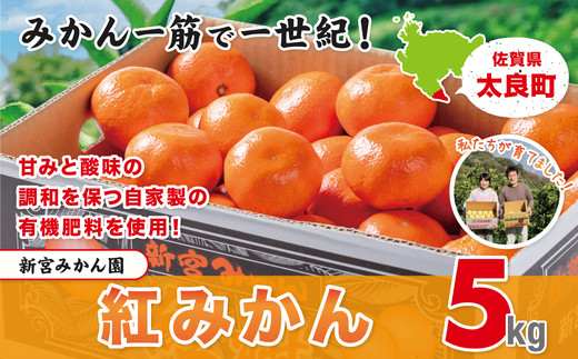 
【新宮みかん園】紅みかん 5kg
