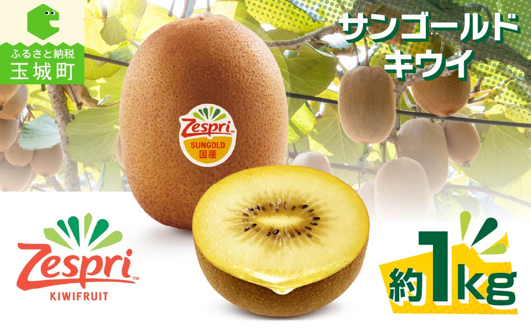 【先行予約】2026年度発送 三重県玉城町産 ゼスプリ サンゴールドキウイ 約1kg