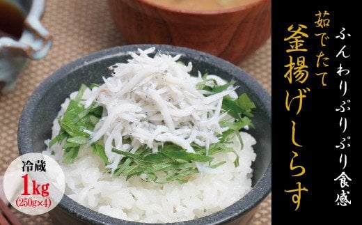 
茹でたて釜揚げしらす　1kg(250g×4パック)【冷蔵】無添加・無着色 しらす シラス 釜揚げ 小分け 冷蔵
