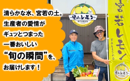 宮若産 旬の野菜詰め合わせ詰め合わせ 6?8種セット [M1018] 季節 野菜 果物 詰め合わせ 九州 福岡 宮若市 ふるさと納税 おすすめ