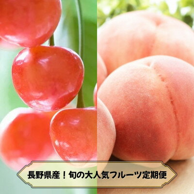 【ふるさと納税】【発送月固定定期便】2026年発送予定 長野の果物 さくらんぼ+桃全2回【配送不可地域：離島】【4081258】