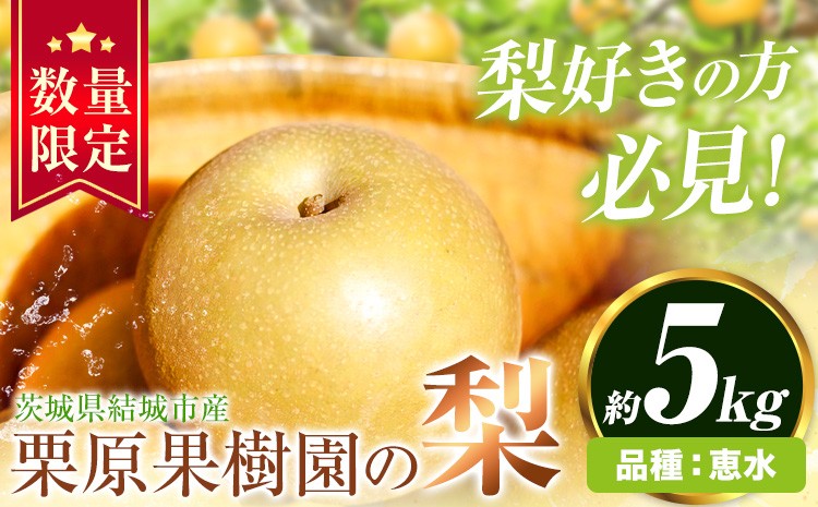 
                  【先行予約】栗原果樹園 梨 5kg  恵水 《9月上旬-9月下旬頃出荷予定》茨城県 結城市 なし 梨 フルーツ 旬 果物 【配送不可地域あり】(離島)
                