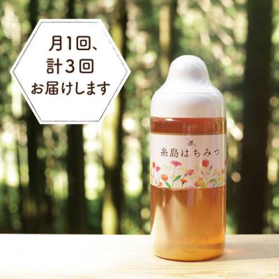 ふるさと納税 糸島市 【全3回定期便】糸島 はちみつ 520g/ヴァンベールフーズ[AFJ005] |  | 01