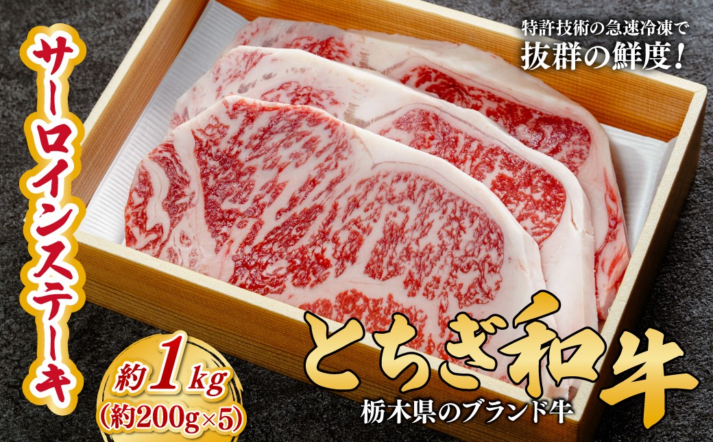 
            とちぎ和牛の厚切りサーロインステーキ 1kg (200g×5枚)【栃木県共通返礼品】 | 牛肉 肉 お肉 厚切り サーロイン ステーキ 柔らかい 産地直送 国産 国産牛 和牛 赤身 霜降り 希少 旨味 旨み 熟成 急速冷凍 テクニカン テクニカン社 スキンパック 真空パック 真空包装 コトラミートカルチャ 栃木県 茂木町
          