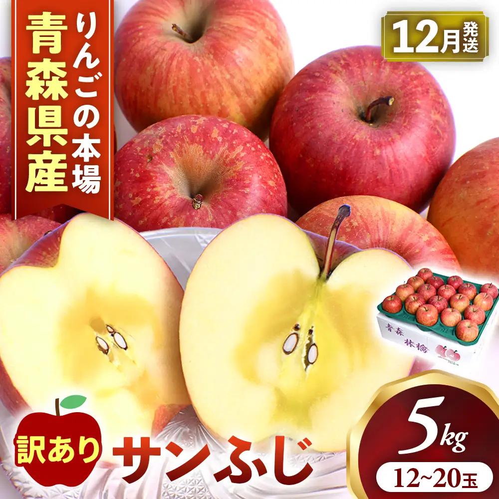 【訳あり】 青森県産りんご サンふじ 約5kg 12月～ りんご