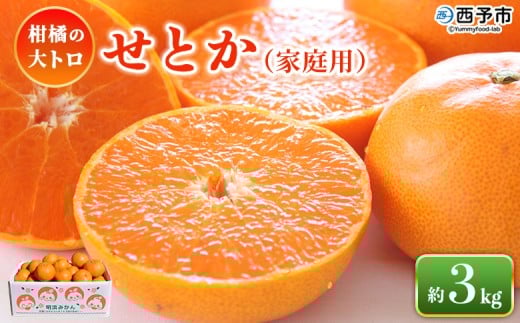 ＜せとか（家庭用）約3kg＞ 自宅用 訳あり ワケアリ 果物 くだもの フルーツ セトカ 3キロ 高級柑橘 柑橘の大トロ 柑橘 特産品 笑丸 愛媛県 西予市【常温】『2026年3月上旬～3月中旬に順次出荷予定』