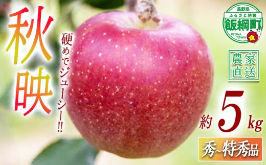 りんご 秋映 秀 〜 特秀 5kg 丸山りんご園 沖縄県への配送不可 2026年10月上旬頃から2026年10月下旬頃まで順次発送予定 令和8年度収穫分 信州 果物 フルーツ リンゴ 林檎 長野 予約 農家直送 長野県 飯綱町 [0706]