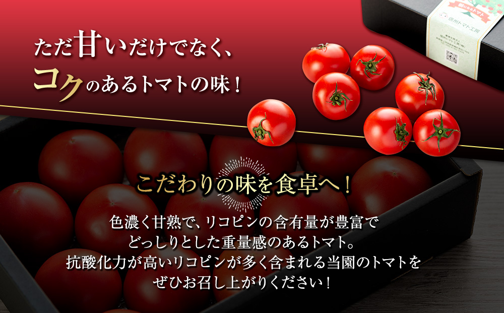 トマト 長野 オールージュトマト 2kg 野菜 夏野菜 夏 旬 旬野菜 甘い 国産 ビタミン ミネラル 抗酸化 リコピン 美容 健康 フルーツトマト フルーツ 長野県産 長野県 箕輪町